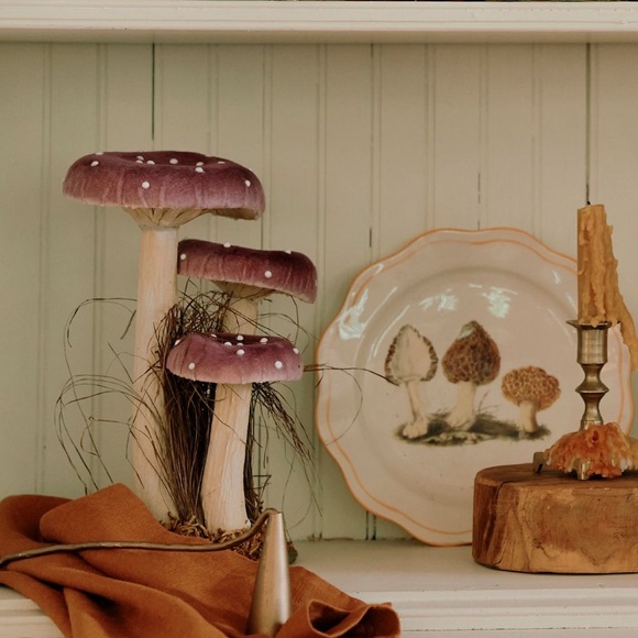 Anthropologie Other - 💎Purple Velvet Mushroom Patch